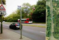 Bus 441 and the dangerous crossing of Stanwell Moor Road